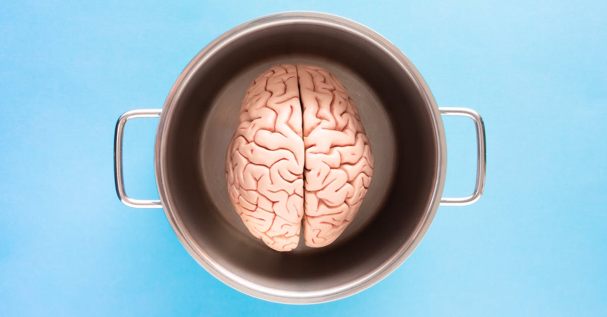 AI in dating: hoe kunstmatige intelligentie je helpt de juiste partner te vinden