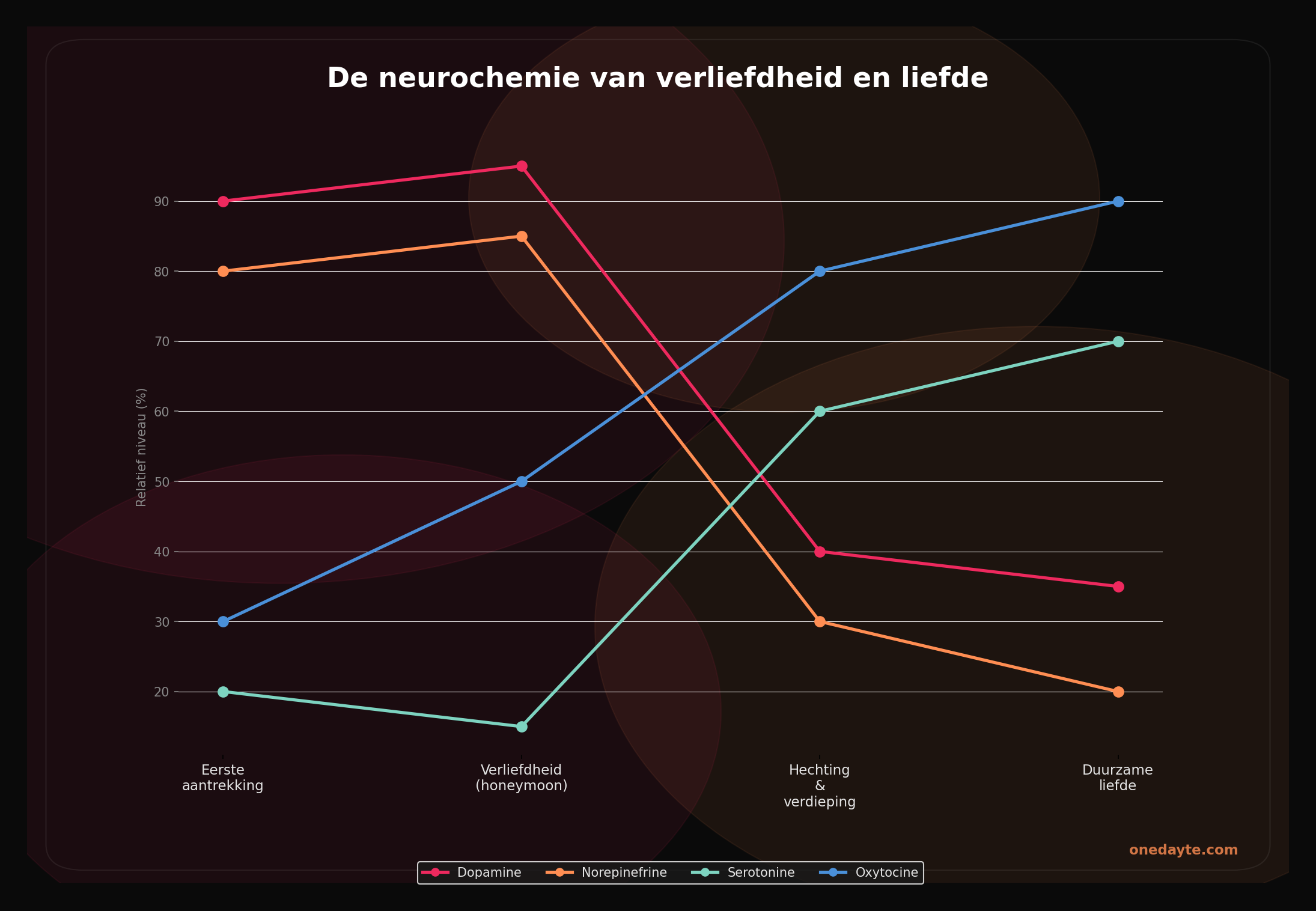 Infographic: Verliefdheid neurochemie - Onedayte