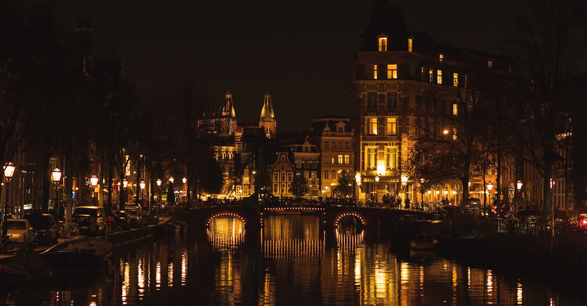 Singles in Nederland: feiten en cijfers over online dating